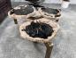 Preview: Design Couchtisch/Beistelltisch "Stone Age" aus versteinertem Holz