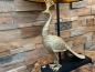 Preview: Tischlampe-Bird-72-cm-gold