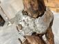 Preview: Skulptur Holzfigur Hund mit Aluminium