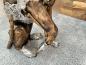 Preview: Skulptur Holzfigur Hund mit Aluminium