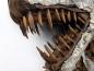 Preview: Raumskulptur Dinosaurier aus Holz Eingangsbereich Lobby Messestand