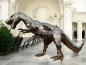 Preview: Raumskulptur Dinosaurier aus Holz Eingangsbereich Lobby Messestand