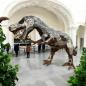 Preview: Raumskulptur Dinosaurier aus Holz Eingangsbereich Lobby Messestand