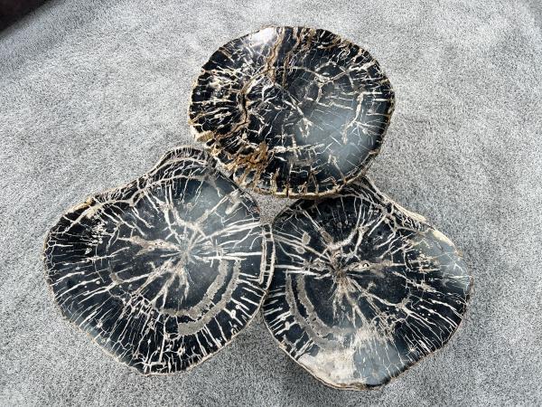 Außergewöhnlicher Couchtisch aus versteinertem Holz "Stone Age" 82 cm