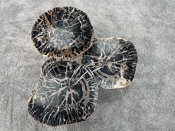 Außergewöhnlicher Couchtisch aus versteinertem Holz "Stone Age" 82 cm