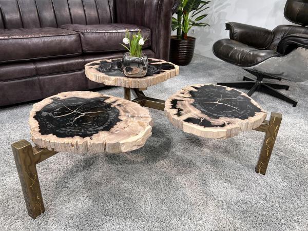 Design Couchtisch/Beistelltisch "Stone Age" aus versteinertem Holz