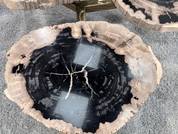 Design Couchtisch/Beistelltisch "Stone Age" aus versteinertem Holz