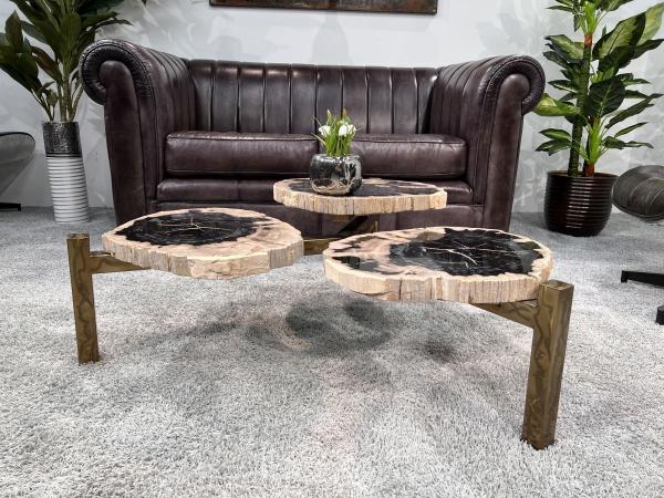 Design Couchtisch/Beistelltisch "Stone Age" aus versteinertem Holz