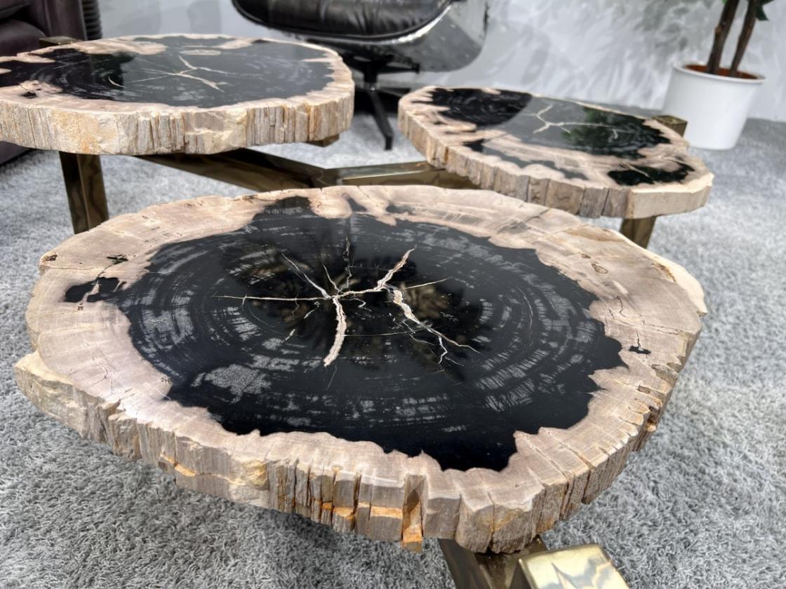 Design Couchtisch/Beistelltisch "Stone Age" aus versteinertem Holz