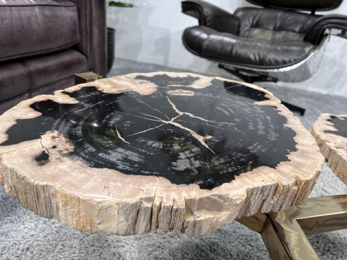 Design Couchtisch/Beistelltisch "Stone Age" aus versteinertem Holz