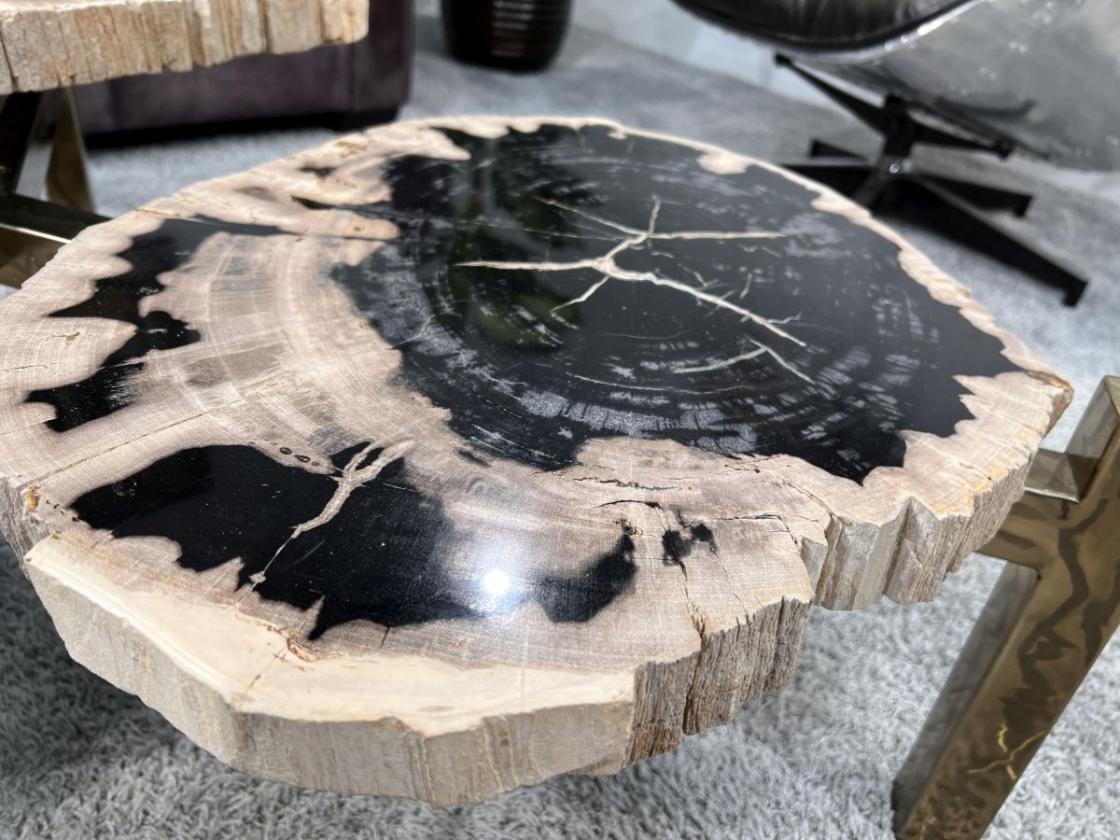 Design Couchtisch/Beistelltisch "Stone Age" aus versteinertem Holz