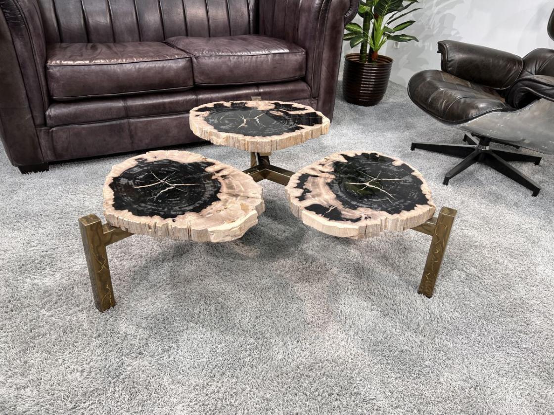 Design Couchtisch/Beistelltisch "Stone Age" aus versteinertem Holz