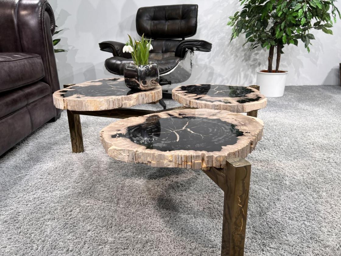 Design Couchtisch/Beistelltisch "Stone Age" aus versteinertem Holz