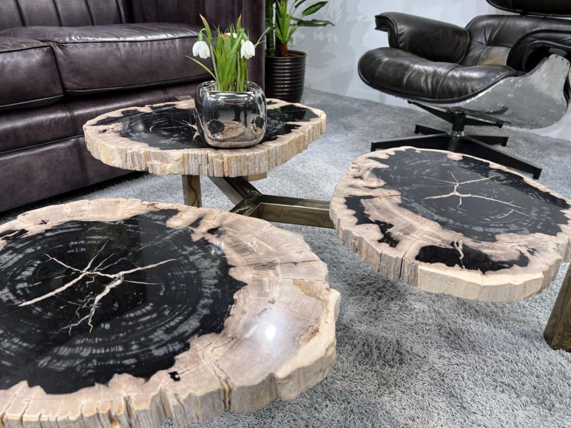 Design Couchtisch/Beistelltisch "Stone Age" aus versteinertem Holz