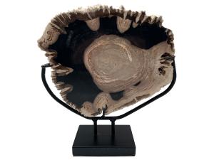 Dekoration Aufsteller "Baumscheibe Stone Age" aus versteinertem Holz ca. B28 x T8,5 x H30 cm ähnl. Abbildung
